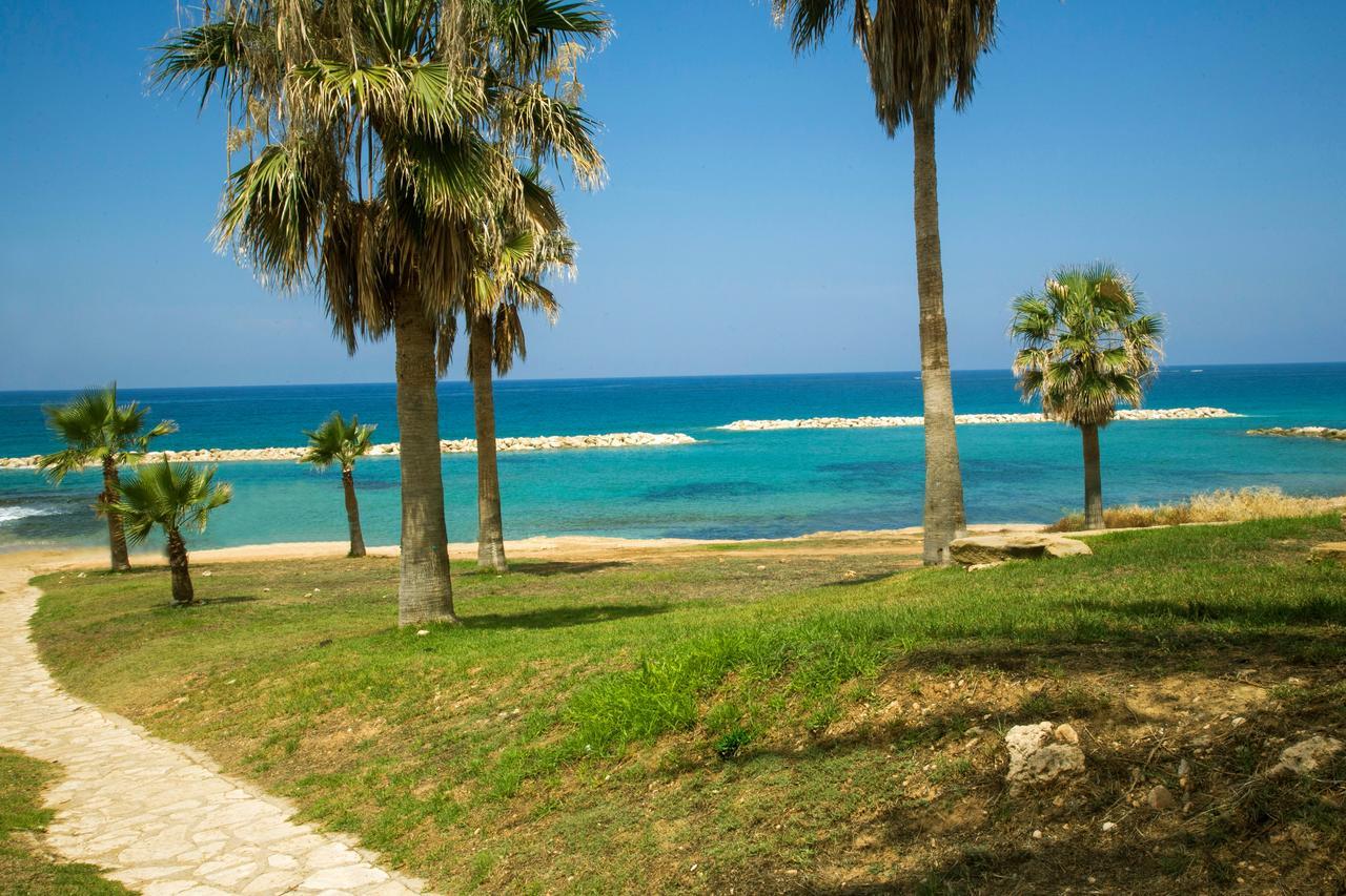 Venus Beach Hotel Paphos Esterno foto Mediterranean Sea at Rethymno