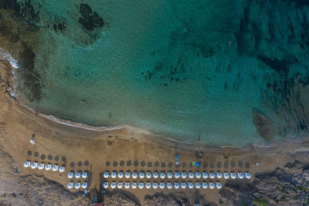 Venus Beach Hotel Paphos Esterno foto Aerial view of the beach